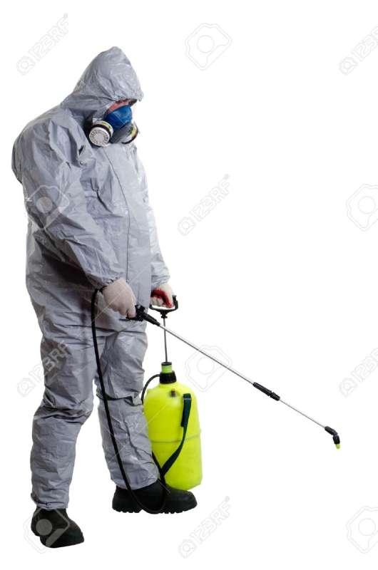 Commercial Pest Management