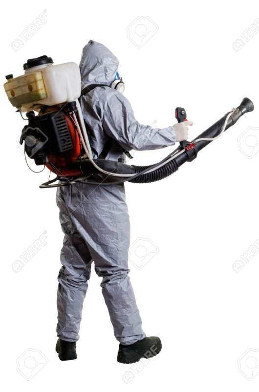 Historical Building Pest Preservation and Protection