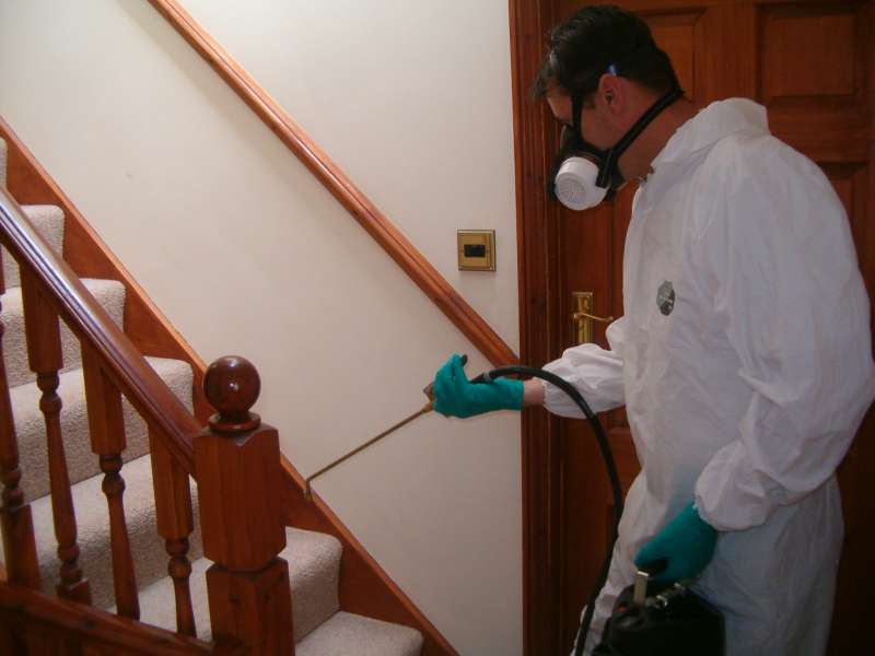 Pest Prevention and Exclusion Services